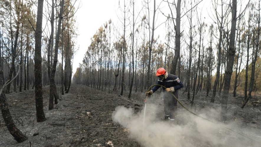 Un pompier arrose les terres brûlées d'une forêt de pins à Saint-Jean d'Illac, près de Bordeaux, le 27 juillet 2015