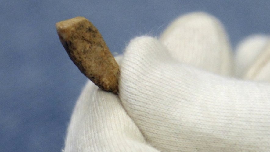 Une dent humaine vieille de 560.000 ans, découverte dans la "caune de l'Arago" près de Tautavel, le 28 juillet 2015