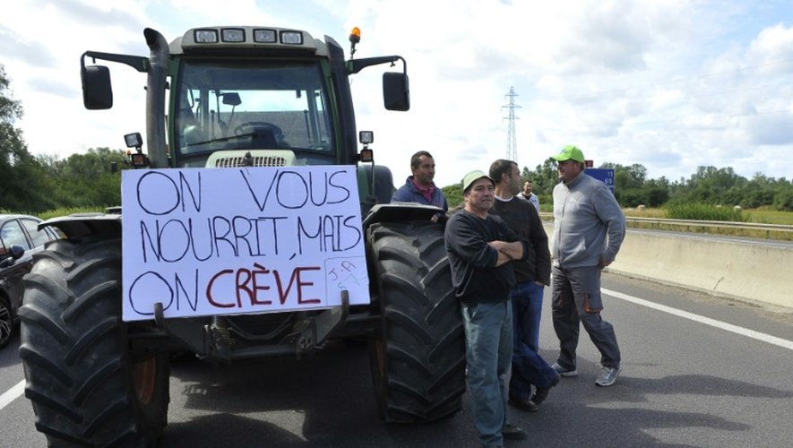 Des agriculteurs bloquent l'autoroute A31, à Hauconcourt (Moselle), lors d'une manifestation contre la baisse des prix, le 28 juillet 2015