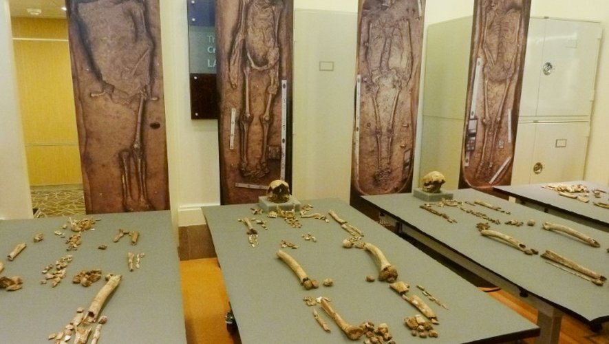 Les restes de quatre colons anglais ayant vécu à Jamestown au début du XVIIème siècle, exposés au Smithsonian Institute à Washington, le 28 juillet 2015