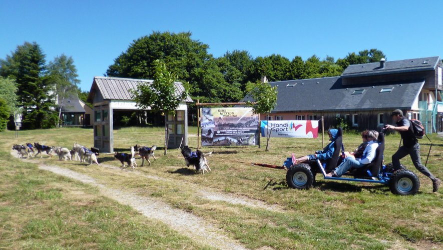 Du chien de traîneaux en été c’est possible aussi, grâce à Nord-Aveyron Mushing installé à la station du Bouyssou à Laguiole.