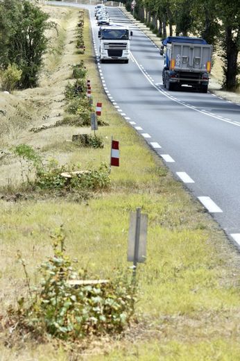 Des camions passent le 30 juillet 2015 près de Luçon (Vendée) devant les souches de 32 platanes, abattus par un transporteur privé car ils génaient le passage de deux coques de bateaux