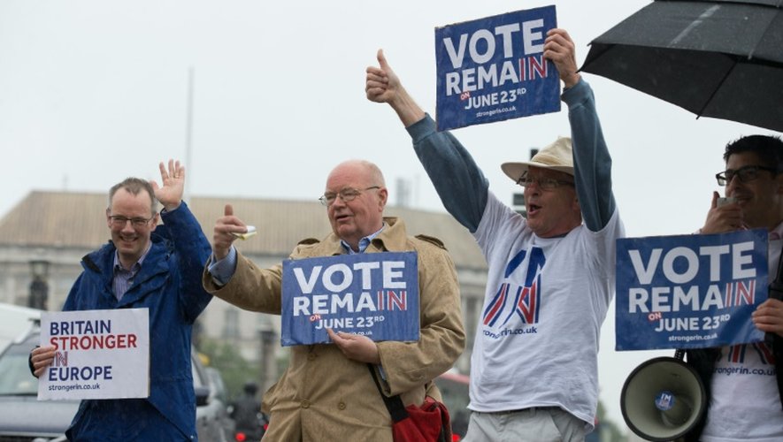 Des partisans du maintien de la GB dans l'UE le 20 juin 2016 à Londres