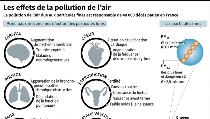 Les effets de la pollution de l'air