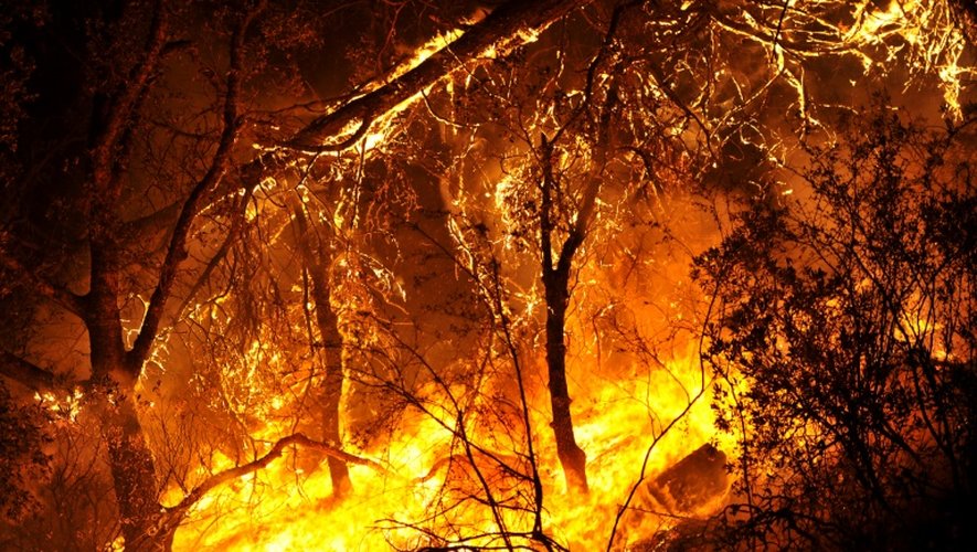 Végétation en flammes le 2 août 2015 près de South Lake, en Californie