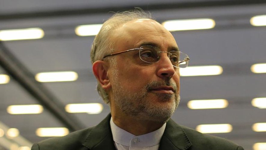 Ali Akbar Salehi, le chef de l'Organisation iranienne de l'énergie atomique (OIEA), le 16 septembre 2013 à Vienne