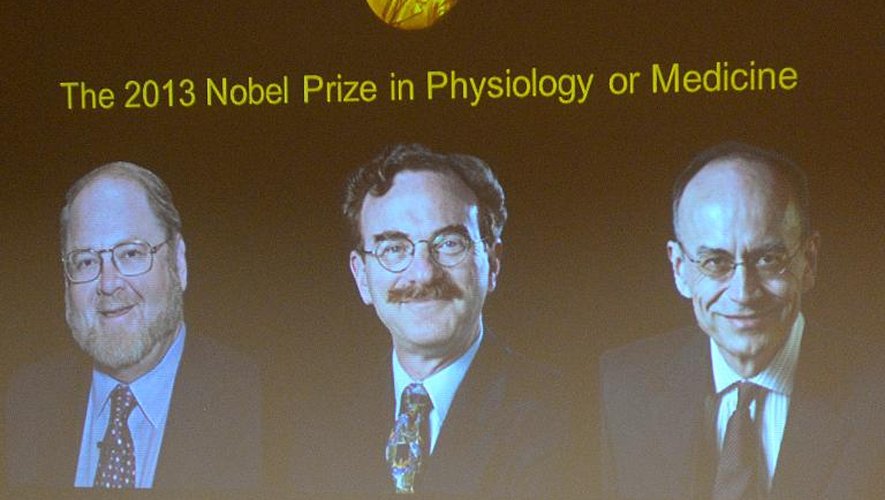 Photo prise le 7 octobre 2013 à Stockholm des trois vainqueurs du Nobel de Médecine, James E. Rothman, Randy W. Schekman et Thomas C. Südhof (de g à d)
