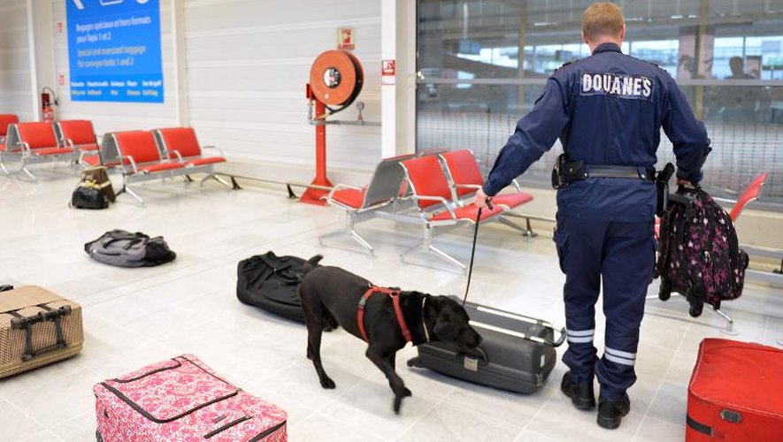 Vérification de bagages par un agent des douanes et son chien, à l'aéroport d'Orly, le 28 décembre 2012
