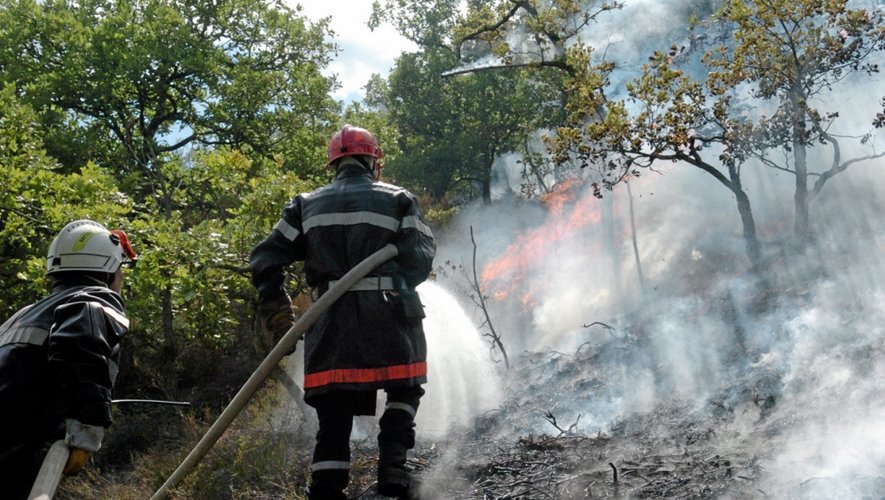 Depuis le début de l'été, environ 55 hectares qui sont partis en fumée en Aveyron.