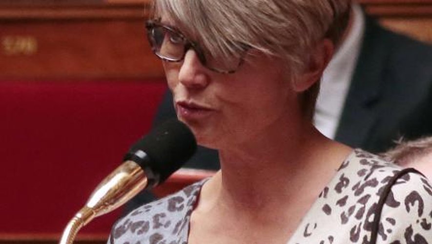 La députée d'Europe Ecologie-Les Verts Véronique Massonneau à l'Assemblée Nationale, le 18 décembre 2012