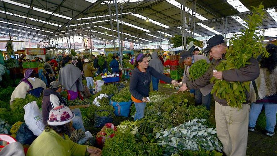 Un marché de Bogota où l'on vient acheter des herbes médicinales, le 1er octobre 2013