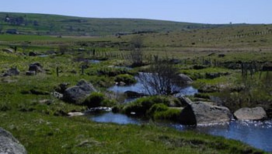 Le site Natura 2000 du plateau de l’Aubrac espère sensibiliser la partie aveyronnaise.