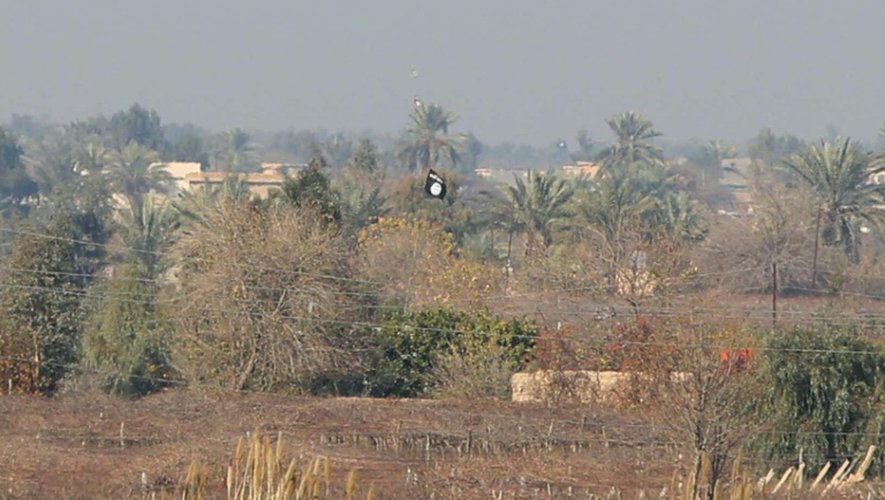 Un drapeau de l'EI flotte le 2 janvier 2015 au milieu des champs à Sayed Ghareeb, près de Dujail, 70 km au nord de Bagdad, où les combattants de l'organisation islamiste s'affrontaient aux troupes régulières et à des milices pro-gouvernementales