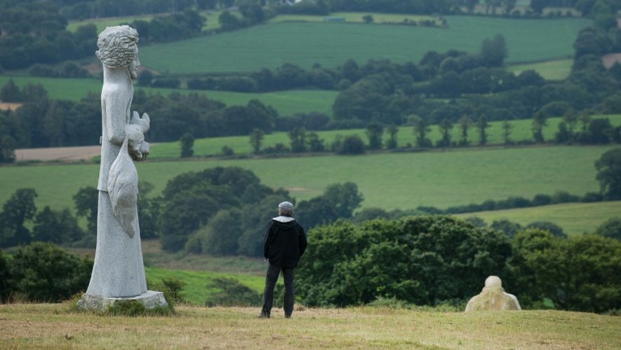 Un visiteur regarde une "statue-menhir" représentant un saint breton sur le site de la Vallée des Saints à Carnoët (Côtes d'Armor), le 5 août 2015