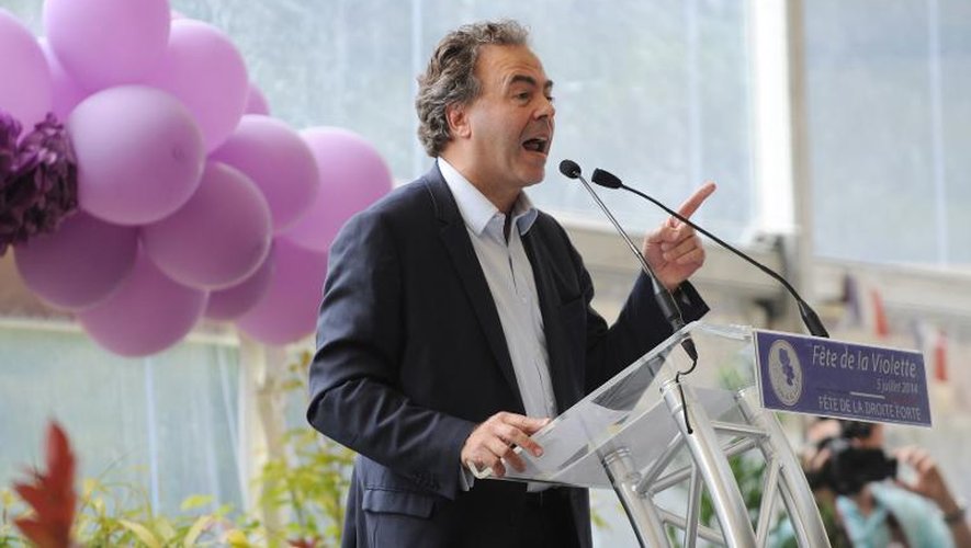 Luc Chatel, secrétaire général par intérim de l'UMP lors de "La fête de la Violette", le 5 juillet 2014 à La Ferté-Imbault (Loir-et-Cher)