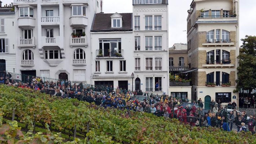 Des personnes regardent les 80e vendanges des vignes de Montmartre le 12 octobre 2013 à Paris