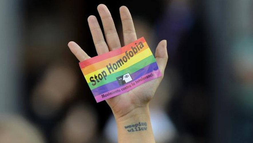 Un militant en faveur de la cause homosexuelle et contre l'homophobie en Russie manifeste à Madrid, le 3 septembre 2013