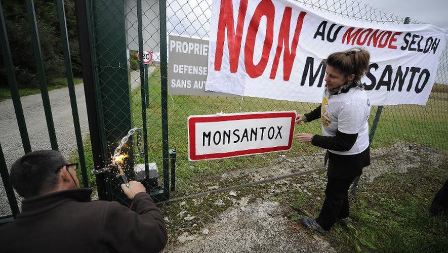 Des militants anti-OGM devant l'entrée de l'entreprise Monsanto, à Monbequi, dans le sud de la France, le 12 octobre 2013