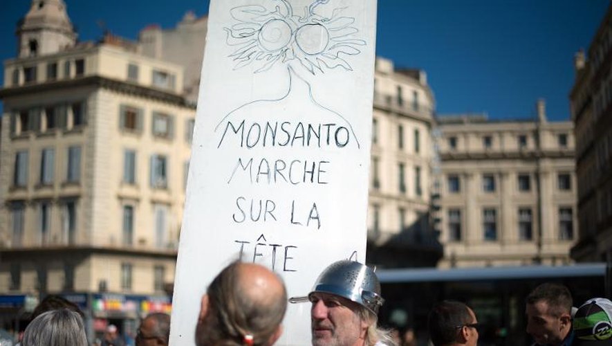 Des manifestants anti-OGM à Marseille, le 12 octobre 2013