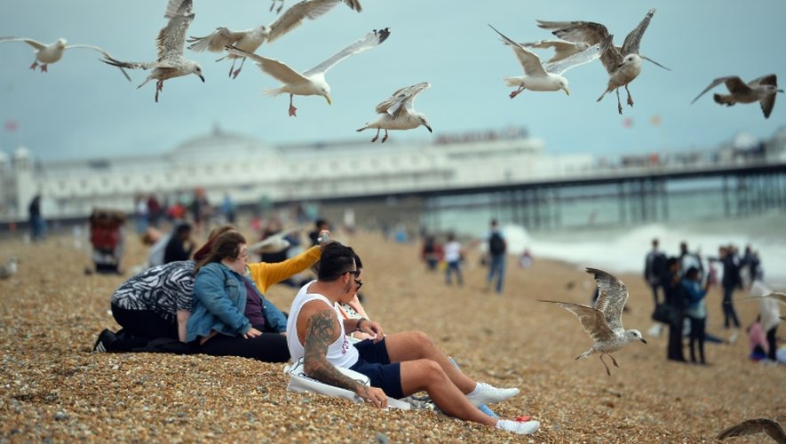 Des mouettes tentent de voler la nourriture d'un couple sur la plage de Brighton, dans le sud de l'Angleterre, le 6 août 2015