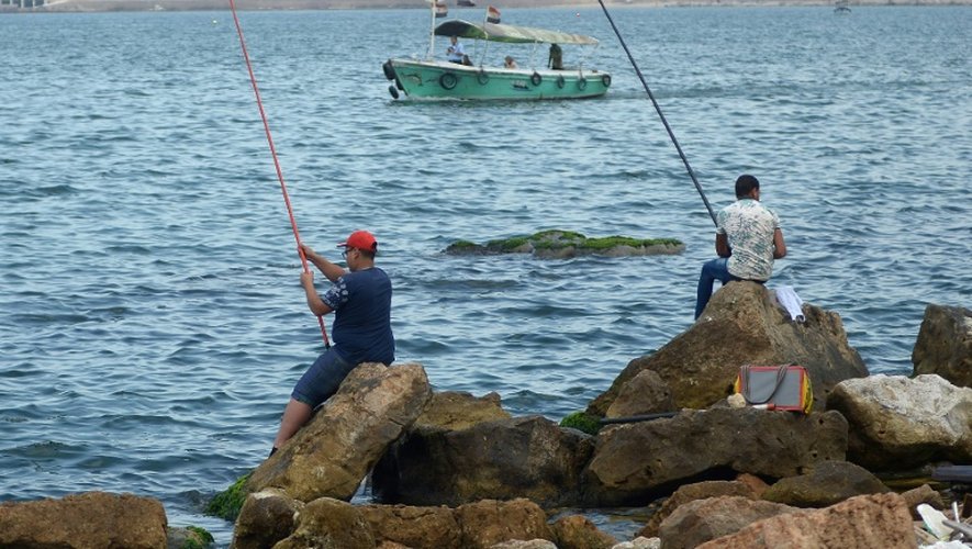 L'Egypte commence à être un pays de départ, selon le directeur de Frontex. Un nombre croissant de bateaux de pêche avec des centaines de personnes à bord ont été secourus