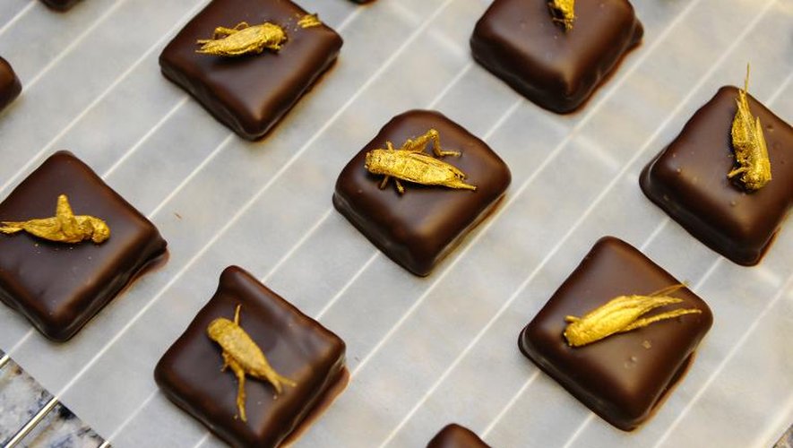 Des chocolats surmontés d'insectes le 12 octobre 2013 dans la chocolaterie de Sylvain Musquar à Villers-les-Nancy