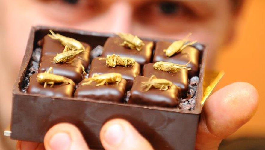 Le chocolatier Sylvain Musquar présente des chocolats surmontés d'un insecte à Villers-les-Nancy le 12 octobre 2013