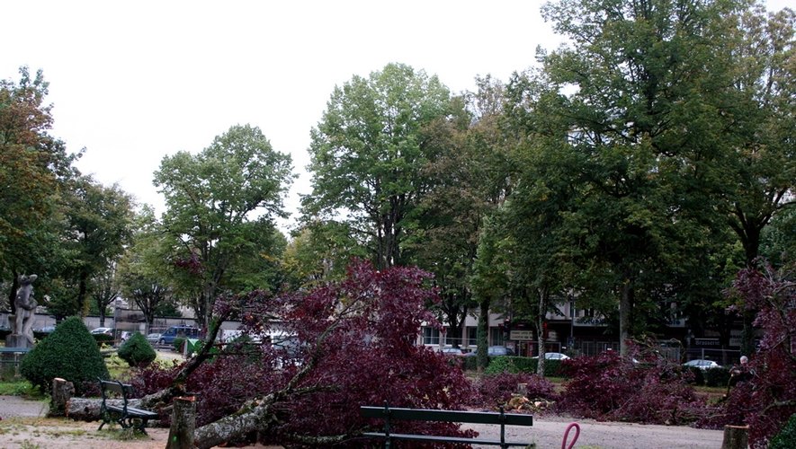 Massacre à la tronçonneuse dans le jardin public de Rodez