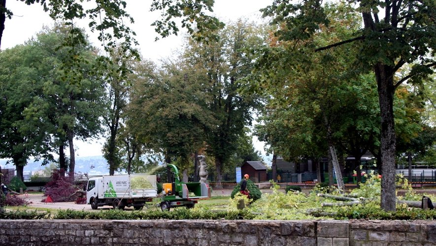 Massacre à la tronçonneuse dans le jardin public de Rodez