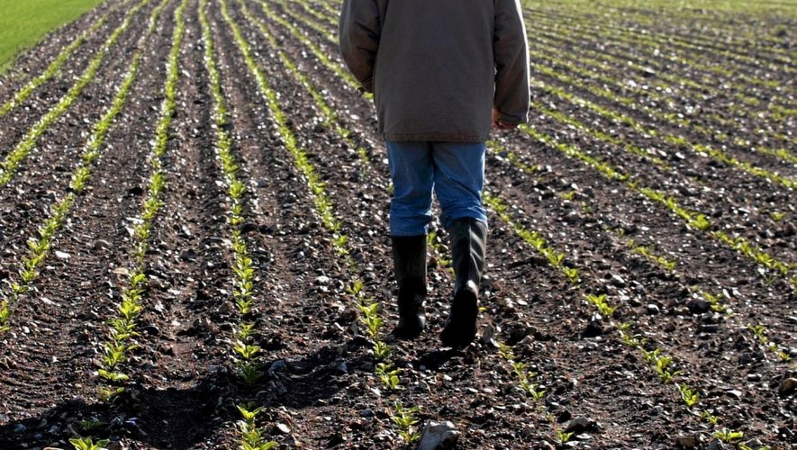 Suicide chez les agriculteurs : "il est temps de changer"