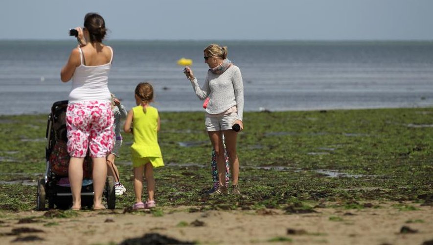 A Grandcamp-Maisy, en Normandie, les touristes s'arrêtent pour photographier les algues vertes qui ont envahi la plage, le 9 juillet 2014