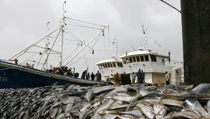 Pêche saisie sur deux chalutiers chinois pratiquant la pêche en eaux profondes au port d'Abidjan, en Côte d'Ivoire, le 27 décembre 2007