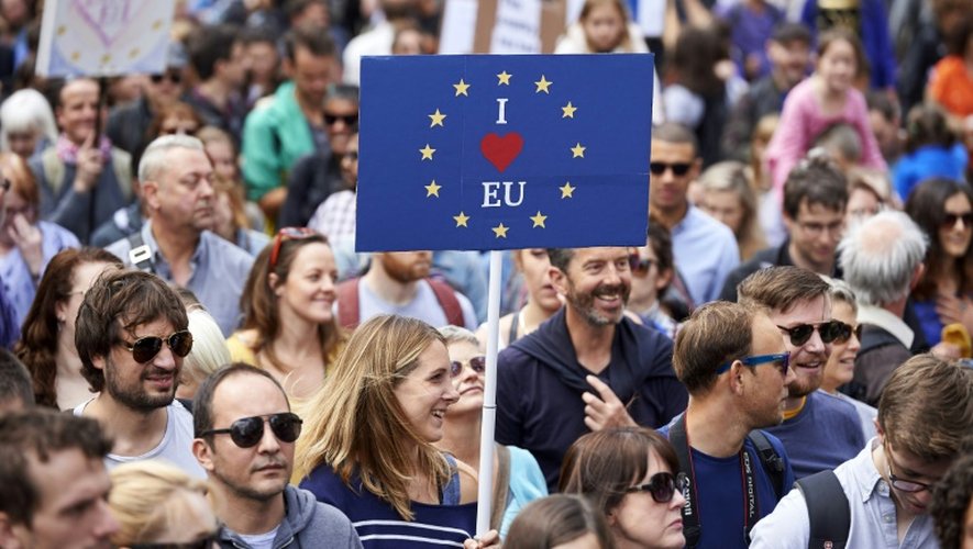 Certains manifestants réclamaient un "deuxième référendum" afin de "rester en Europe"