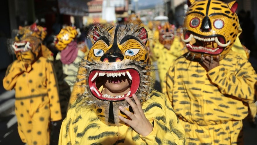 Parade de "tigres" lors de la fête de la "Trigrada" le 15 août 2015 à Chilapa, dans le sud du Mexique