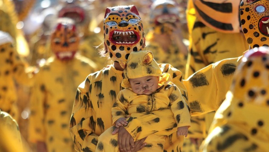 Des participants à la "Tigrada", une fête populaire traditionnelle, le 15 août 2015 à Chilapa, une petite ville de l'état mexicain de Guerrero (sud)
