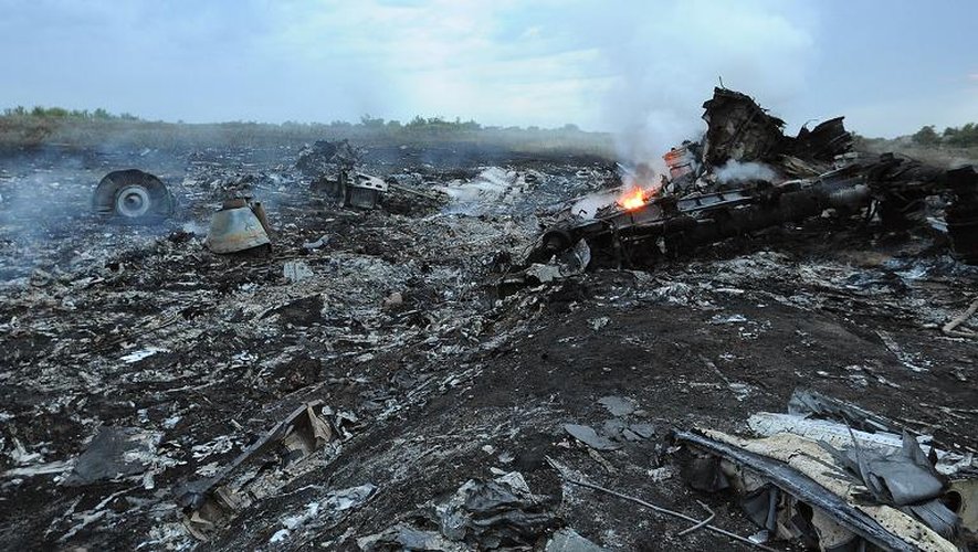 Les décombres de l'avion de la Malaysia Airlines qui s'est écrasé le 17 juillet 2014 en Ukraine