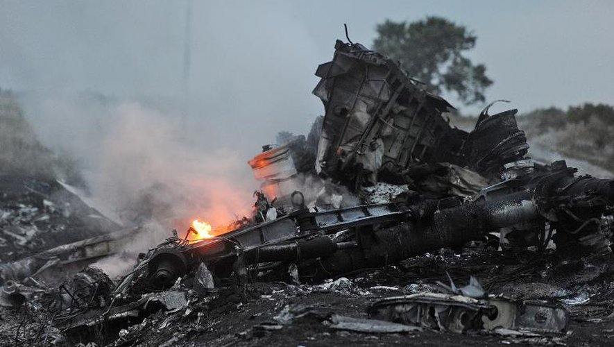 Des flammes se dégagent de l'avion de la Malaysia Airlines abbatu en Ukraine le 17 juillet 2014, avec 298 personnes à bord
