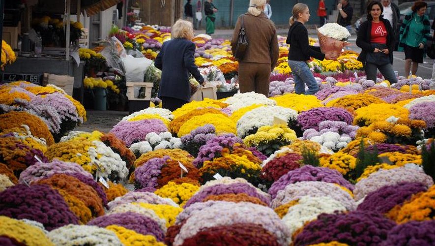 Des chrysanthèmes, le 31 octobre 2006 au marché aux fleurs installé à l'entrée du vieux cimetière de Loyasse à Lyon