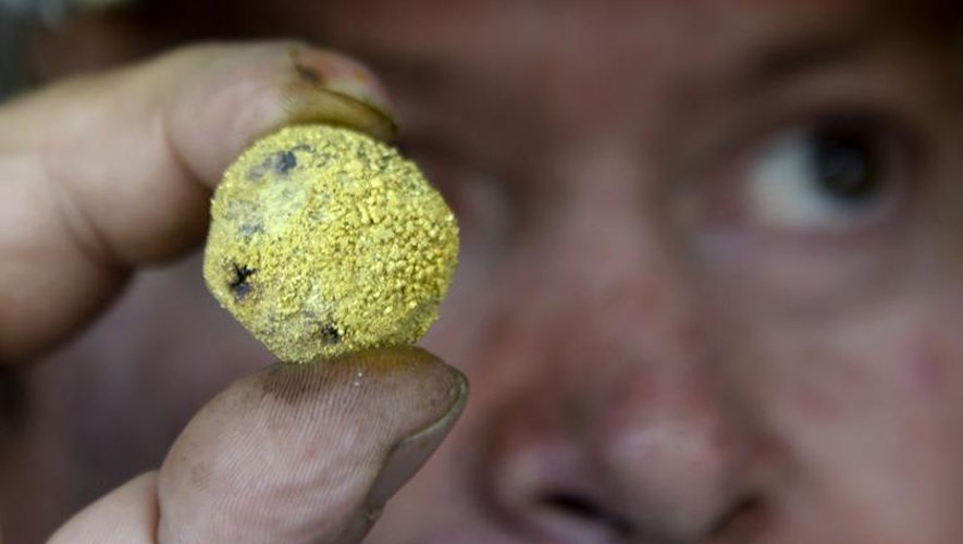 Un commerçant montre un morceua de roche contenant de l'or, dans le village de San Antonio, en Colombie, qui compte des mines illégales, le 19 octobre 2013