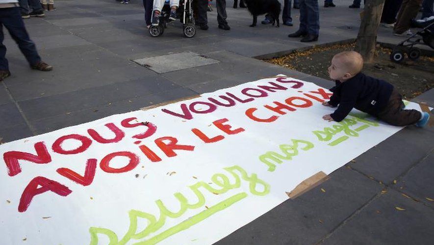 Des manifestants pour l'accouchement à domicile, à Paris, le 26 octobre 2013