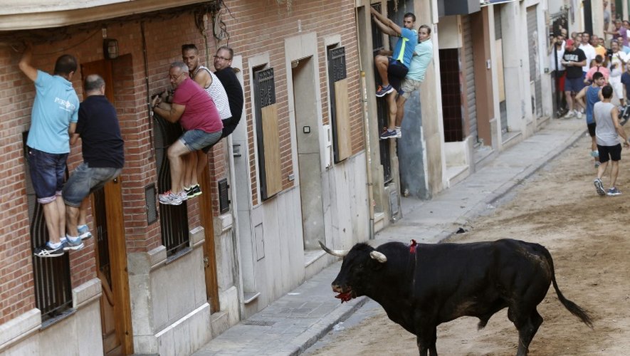 Des participants et des spectateurs se mettent à l'abri au passage du taureau lors de la "Peña taurina" de Meliana, près de Valence, dans l'est de l'Espagne, le 1er août 2015