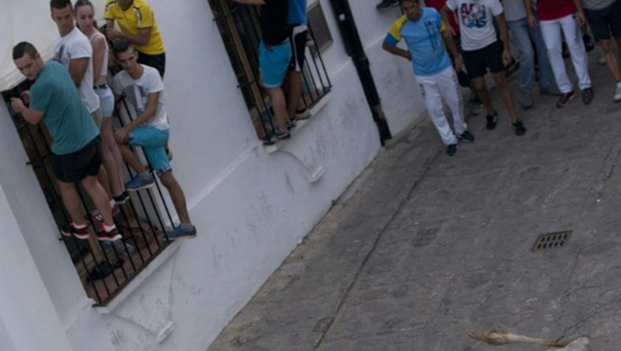 Certains participants n'hésitent pas à se prendre pour des toréros confirmés, comme dans cet "encierro" de Grazalema, en Andalousie, le 20 juillet 2015