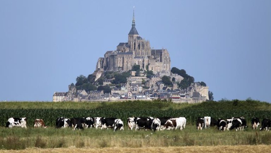 Des vaches paissent devant le Mont-Saint-Michel, le 22 juillet 2014