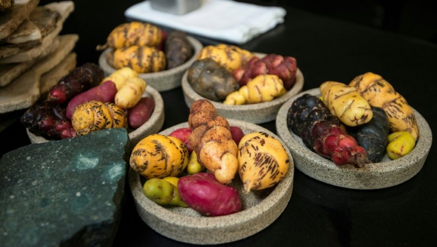 Différentes variétés de pommes de terre proposées au restaurant Central de Lima, le 24 juin 2016