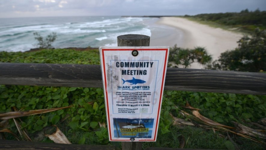 Un écriteau annonçant une réunion de personnes surveillant la présence de squales à Lighthouse Beach à Ballina en Australie le 29 avril 2016
