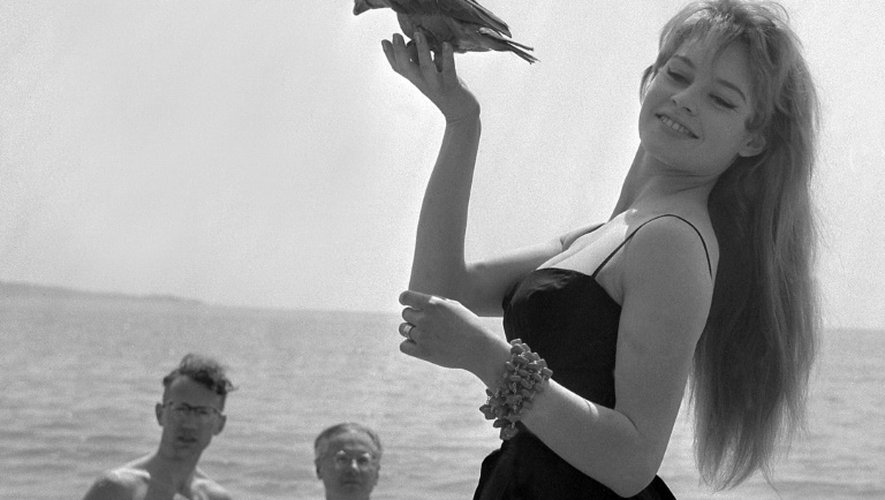 L'actrice Brigitte Bardot pose avec un perroquet lors du festival de Cannes, en mai 1956. Elle a été l'interprète de morceau du  compositeur Gérard Bourgeois auteur de centaines de chansons dont "La Madrague"
