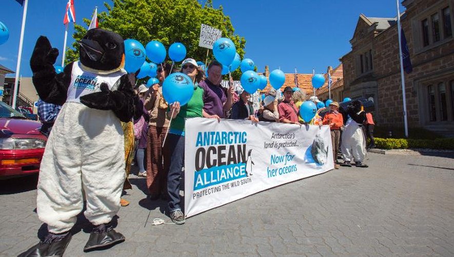 Photo fournie le 28 octobre 2013 par Antarctic Ocean Alliance montrant une manifestation en faveur de sanctuaires marins en Antarctique à Hobart, sur l'île de Tasmanie