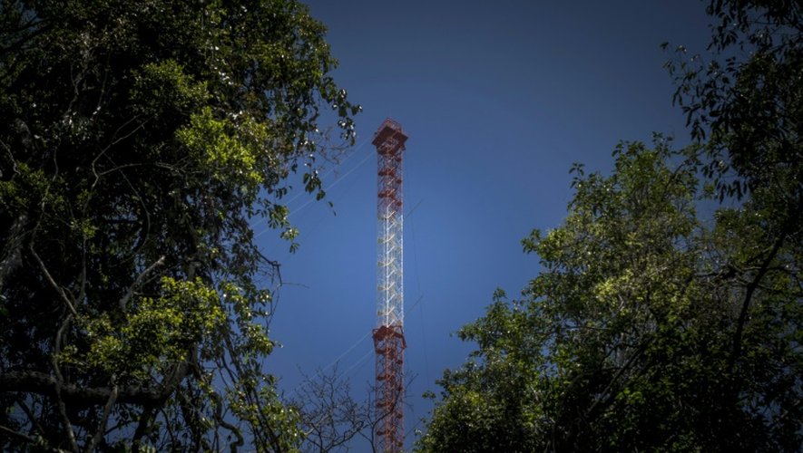 Une structure métallique aussi haute que la Tour Eiffel sert de laboratoire pour étudier le changement climatique au coeur de la forêt amazonienne, le 22 août 2015, jour de son inauguration