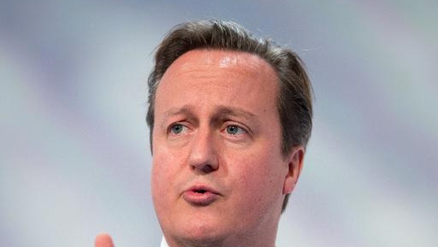 Le Premier ministre britannique David Cameron, le 4 novembre 2013 à Londres