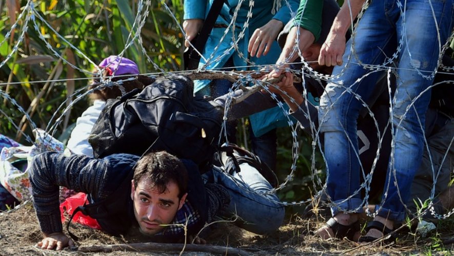 Des migrants passent sous la barrière de barbelés le 28 août 2015 près de  Roszke à la frontière entre la Hongrie et la Serbie